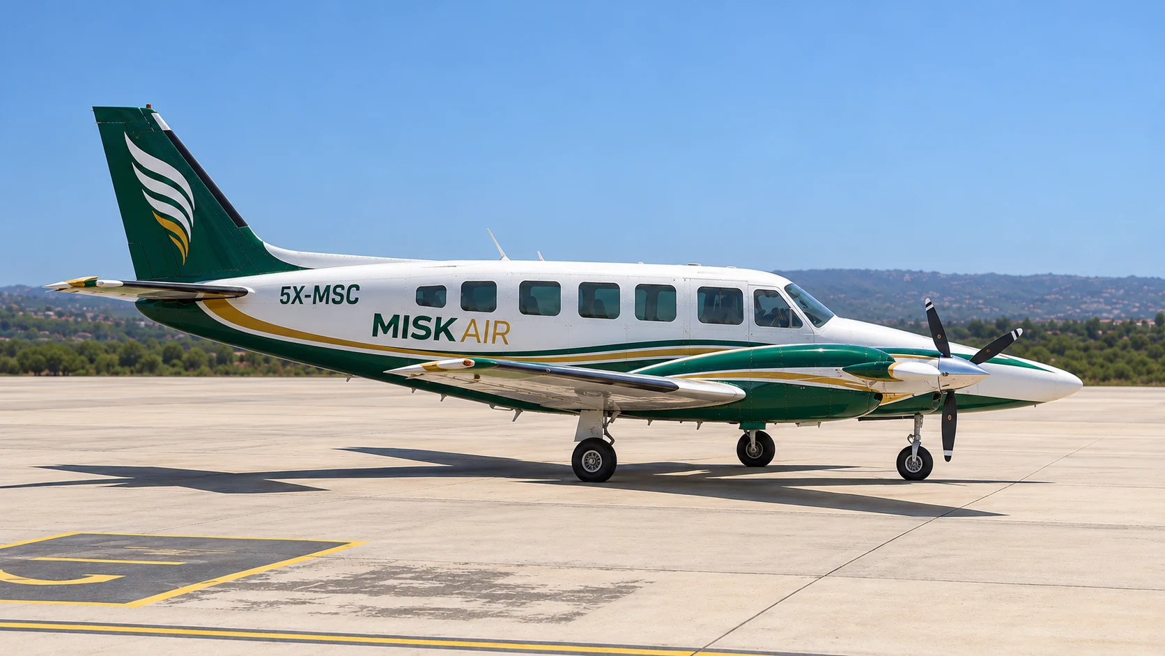 Piper PA-31-350 Navajo Chieftain — visualisation de livrée